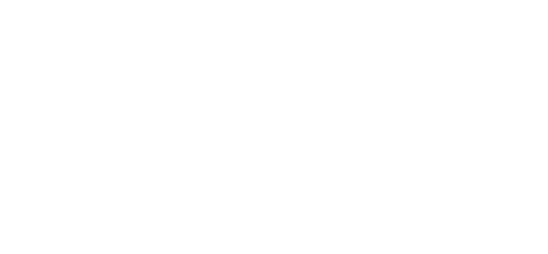 GFC fighter logo.png