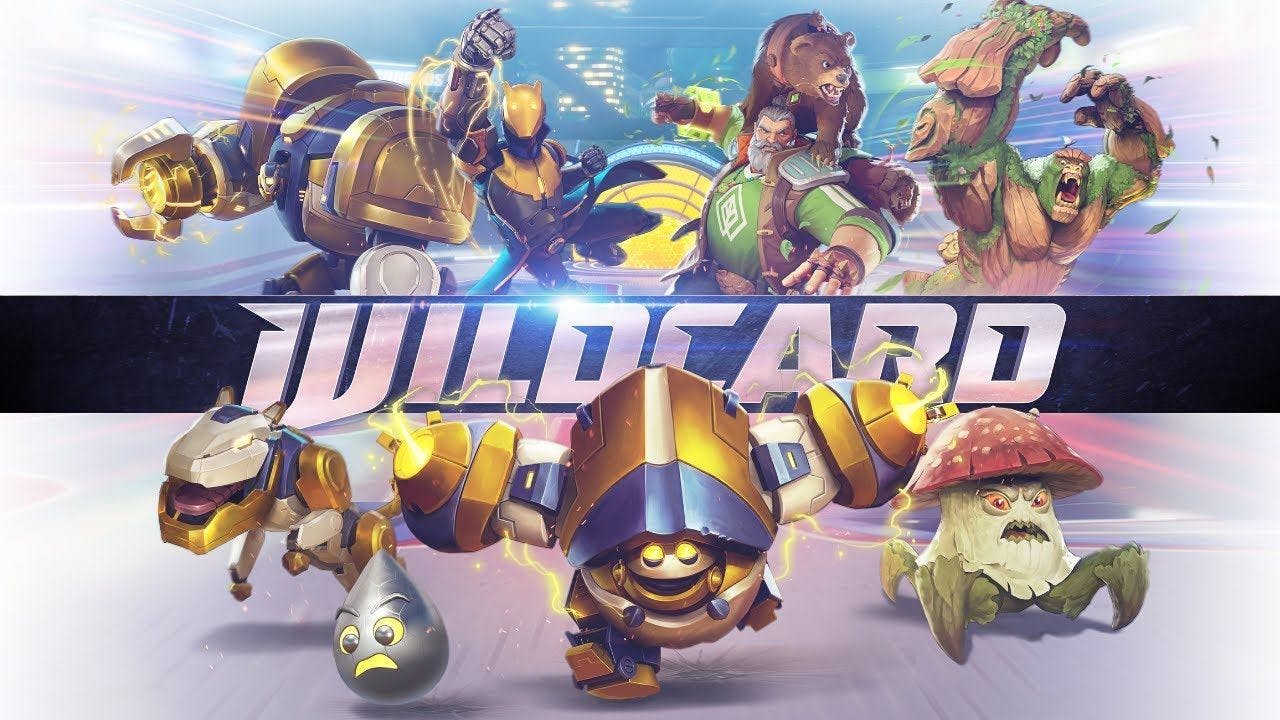 Wildcard game image 1.jpg