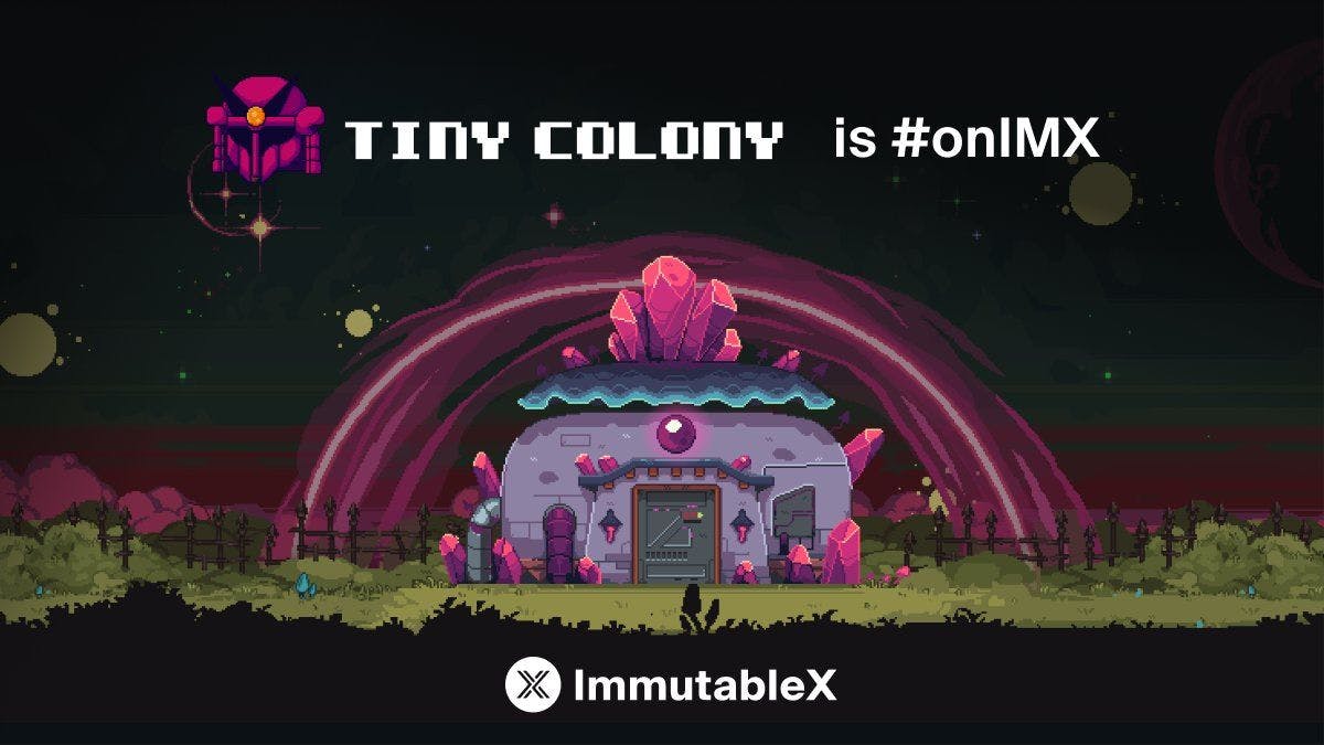 tiny colony imx.jpg